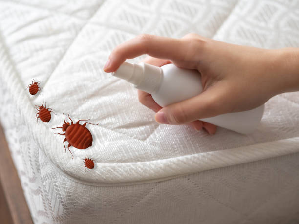 Best Affordable Pest Control Services  in Sherrill, NY