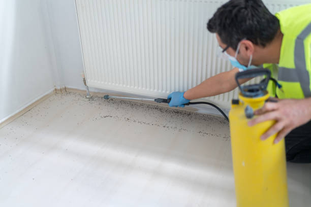 Trusted Sherrill, NY Pest Control Experts